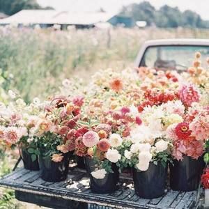 Meet your Posher, Jessi